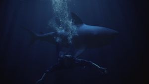 Shark Lake's poster