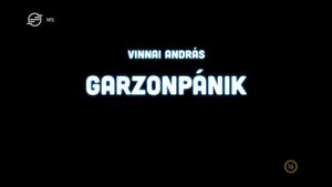 Garzonpánik's poster