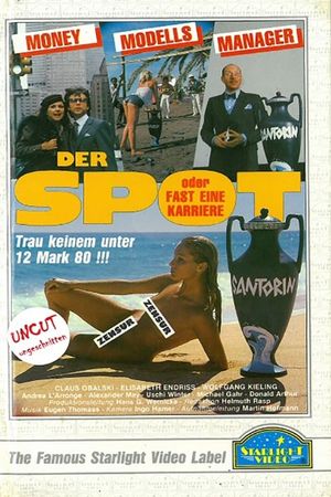 Der Spot oder Fast eine Karriere's poster