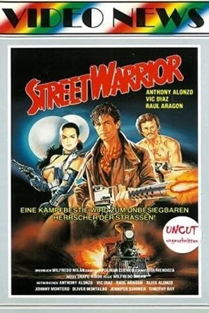 Revenge of the Street Warrior's poster