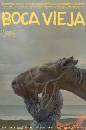Boca Vieja's poster