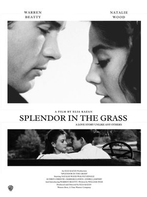 Splendor in the Grass's poster