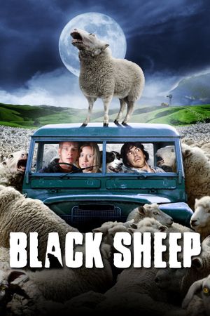Black Sheep's poster