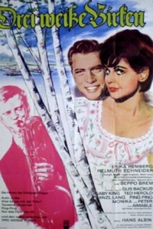 Drei weiße Birken's poster