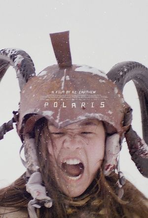 Polaris's poster