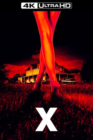 X's poster