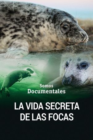 The Secret Life of the Seal's poster