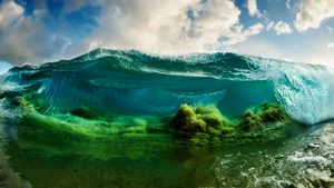 Shorebreak: The Clark Little Story's poster