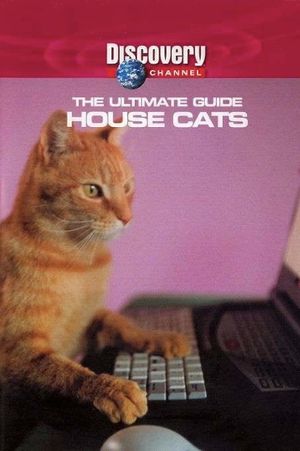 The Ultimate Guide: House Cats's poster