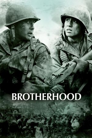 Tae Guk Gi: The Brotherhood of War's poster