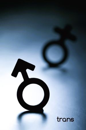 Trans's poster