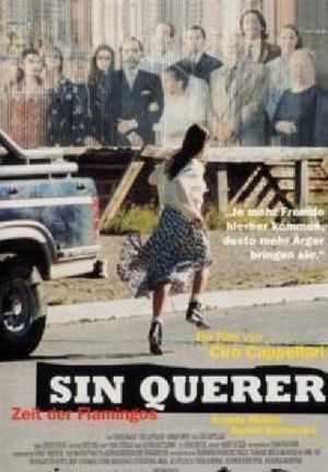 Sin querer's poster