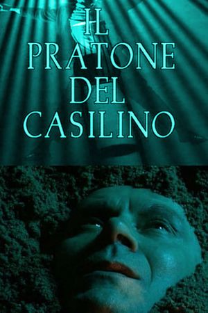 The field of Casilino's poster