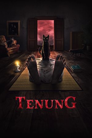 Tenung's poster
