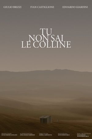 Tu Non Sai Le Colline's poster image