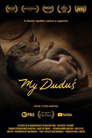 My Duduś's poster