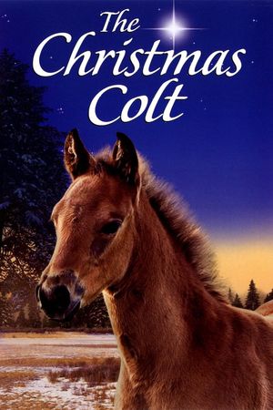 The Christmas Colt's poster