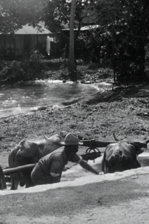 Guadeloupe, le pays des Belles-Eaux's poster
