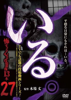 「Iru.」~ Kowasugiru Tōkō Eizō 13-hon ~ Vol.27's poster