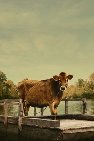 First Cow's poster