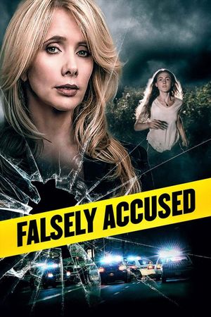 Falsely Accused's poster