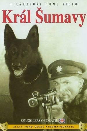 Král Sumavy's poster