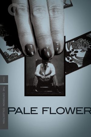 Pale Flower's poster