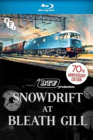 Snowdrift at Bleath Gill's poster