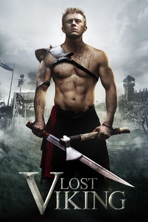 The Lost Viking's poster