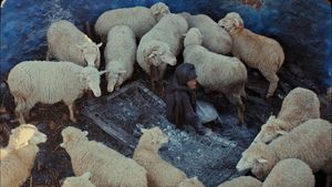 This Is Not a Burial, It's a Resurrection's poster
