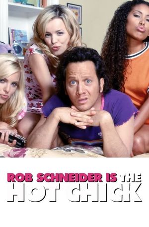The Hot Chick's poster