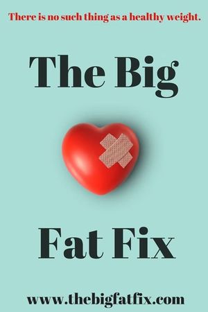 The Big Fat Fix's poster