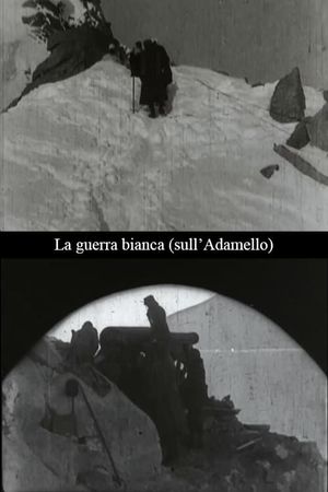 La guerra bianca (sull'Adamello)'s poster image