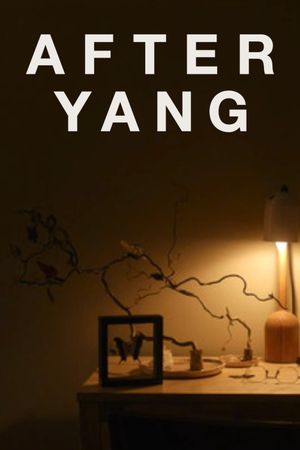 After Yang's poster