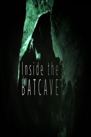 Inside the Bat Cave's poster