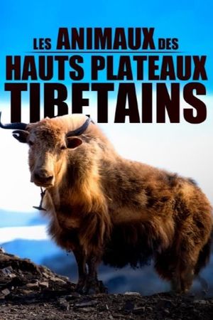 Les animaux des hauts plateaux tibétains's poster