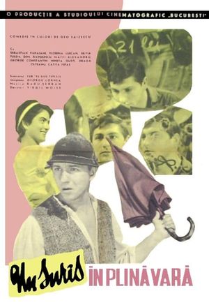 Un surîs în plina vara's poster