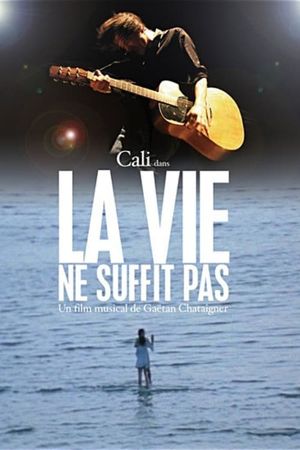 La vie ne suffit pas's poster