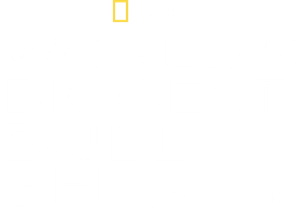 World's Biggest Bull Shark?'s poster