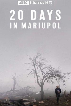 20 Days in Mariupol's poster