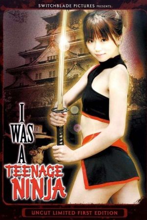 I Was a Teenage Ninja's poster