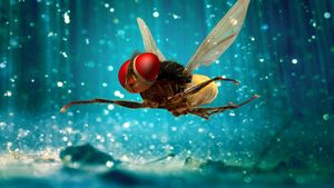 Eega's poster