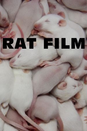 Rat Film's poster