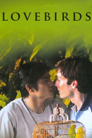 Lovebirds's poster