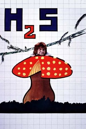 H2S's poster