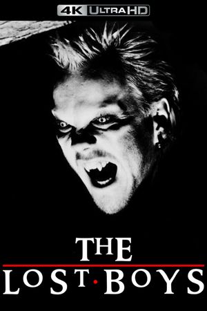 The Lost Boys's poster