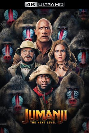 Jumanji: The Next Level's poster