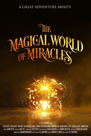 The Magical World Of Miracles's poster