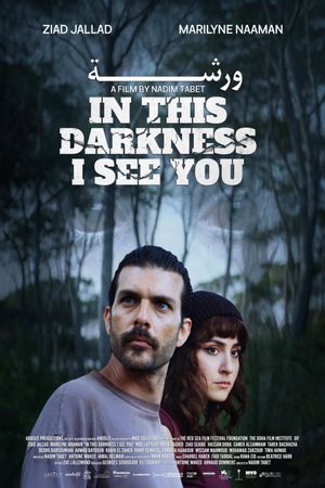In This Darkness I See You's poster