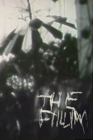 The Film's poster